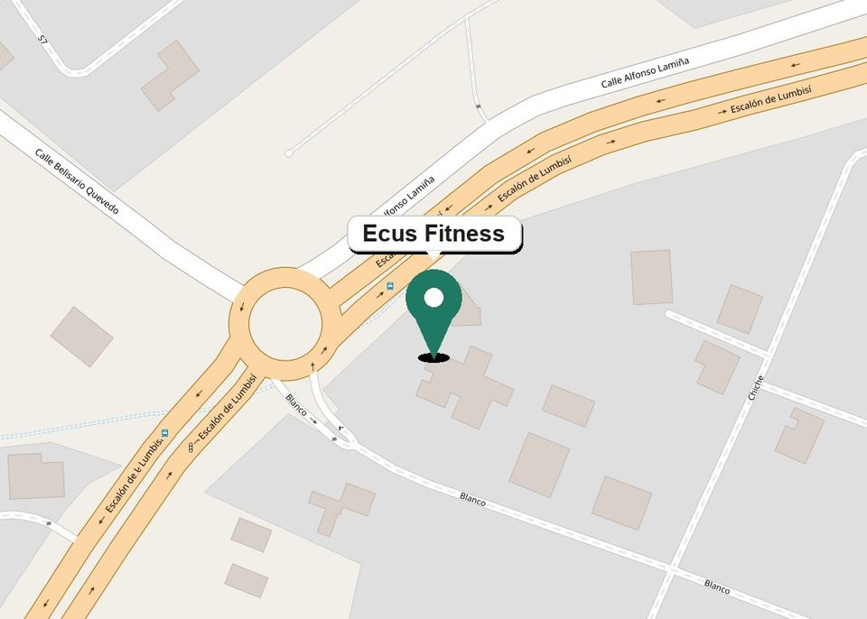 Mapa The Pits Zone, Ecus Fitness
